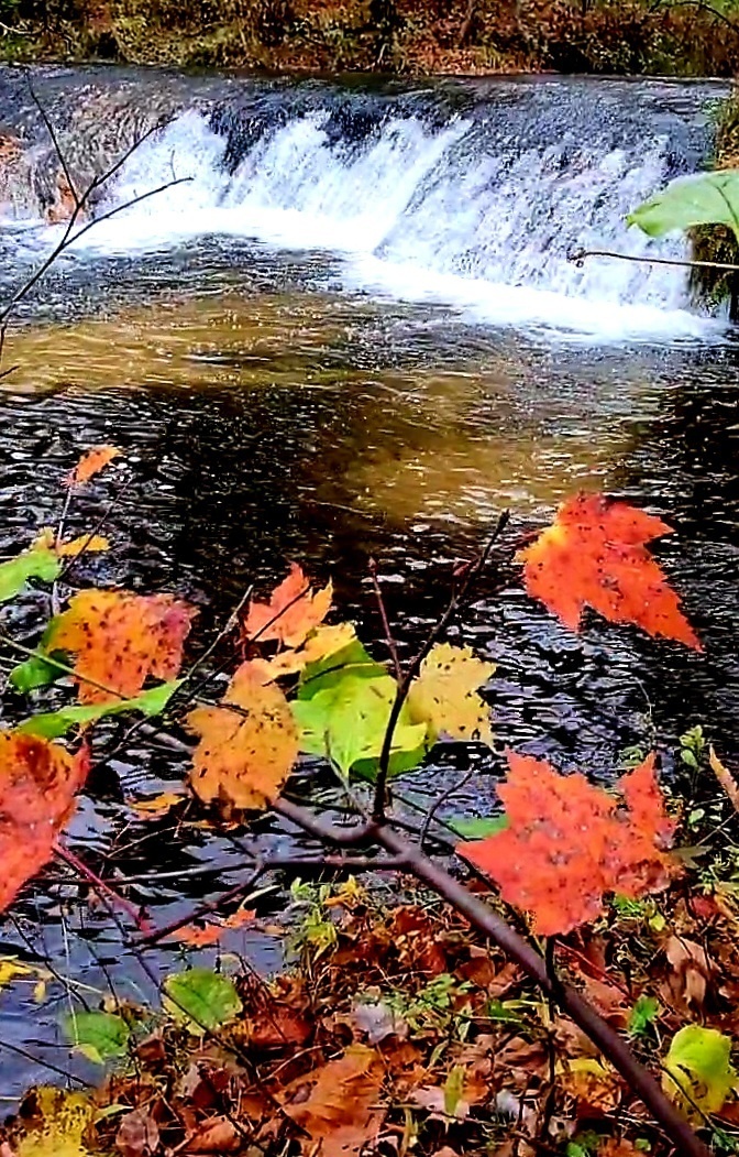 2022 Fall Colors at Trout Falls at Fort McCoy's Pine View Recreation Area