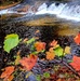 2022 Fall Colors at Trout Falls at Fort McCoy's Pine View Recreation Area