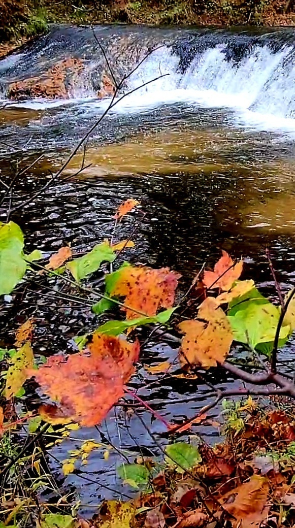 2022 Fall Colors at Trout Falls at Fort McCoy's Pine View Recreation Area