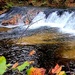 2022 Fall Colors at Trout Falls at Fort McCoy's Pine View Recreation Area