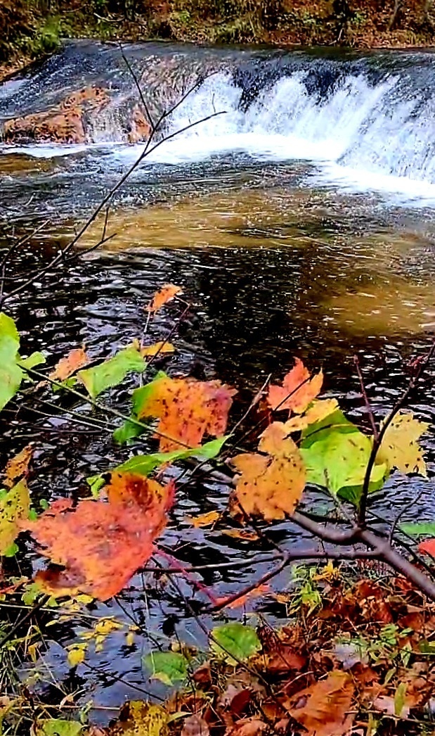 2022 Fall Colors at Trout Falls at Fort McCoy's Pine View Recreation Area