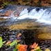 2022 Fall Colors at Trout Falls at Fort McCoy's Pine View Recreation Area