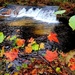 2022 Fall Colors at Trout Falls at Fort McCoy's Pine View Recreation Area