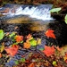 2022 Fall Colors at Trout Falls at Fort McCoy's Pine View Recreation Area