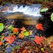 2022 Fall Colors at Trout Falls at Fort McCoy's Pine View Recreation Area