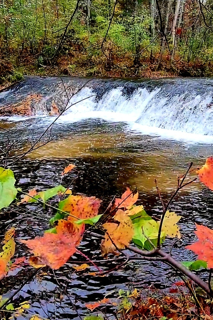 2022 Fall Colors at Trout Falls at Fort McCoy's Pine View Recreation Area