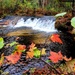 2022 Fall Colors at Trout Falls at Fort McCoy's Pine View Recreation Area