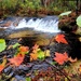 2022 Fall Colors at Trout Falls at Fort McCoy's Pine View Recreation Area