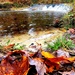2022 Fall Colors at Trout Falls at Fort McCoy's Pine View Recreation Area