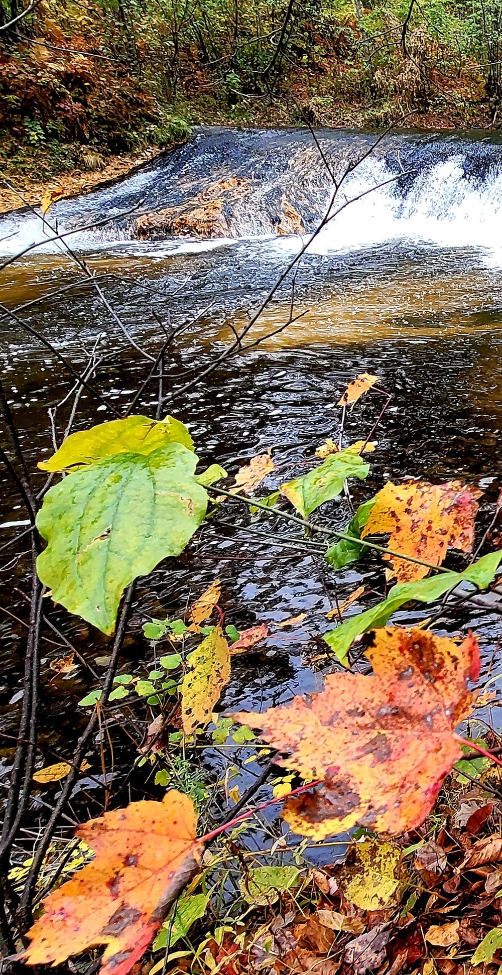 2022 Fall Colors at Trout Falls at Fort McCoy's Pine View Recreation Area