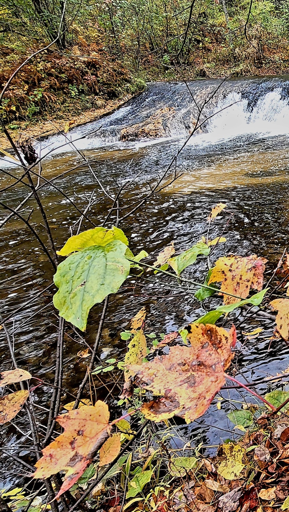 2022 Fall Colors at Trout Falls at Fort McCoy's Pine View Recreation Area