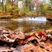 2022 Fall Colors at Trout Falls at Fort McCoy's Pine View Recreation Area