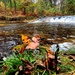 2022 Fall Colors at Trout Falls at Fort McCoy's Pine View Recreation Area