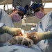 USNS Comfort Medical Teams Perform Surgeries Aboard the Ship