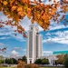 Fall Foliage Around WRNMMC