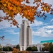 Fall Foliage Around WRNMMC