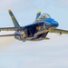 The Navy Flight Demonstration Squadron, the Blue Angels Perform in Vidalia, Georgia