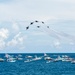 The Navy Flight Demonstration Squadron, the Blue Angels Perform in Pensacola, Florida