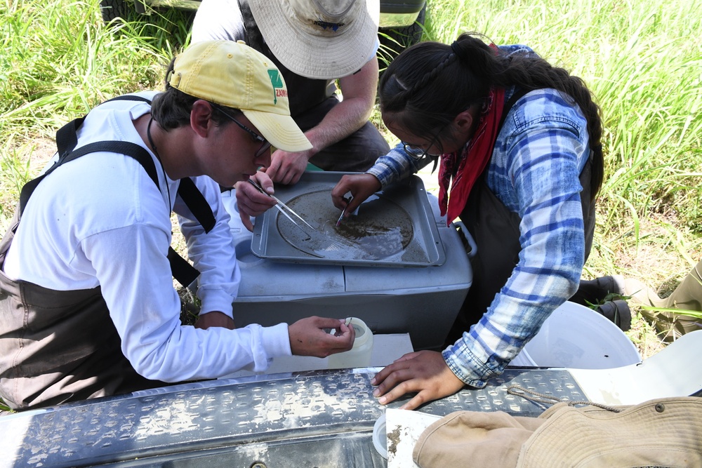 KSU, USFWS, McConnell AFB team up for erosion control