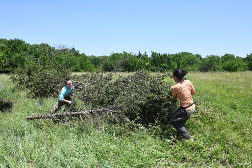 KSU, USFWS, McConnell AFB team up for erosion control