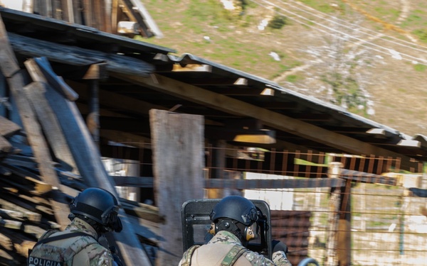 Bosnia and Herzegovina SIPA SUU and U.S.