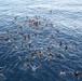 USS Tripoli Swim Call