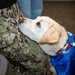 WRNMMC Facility Dogs Celebrate Halloween