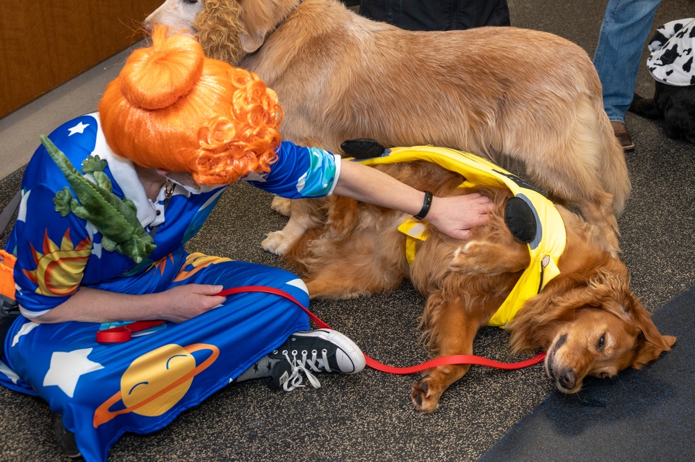 WRNMMC Facility Dogs Celebrate Halloween