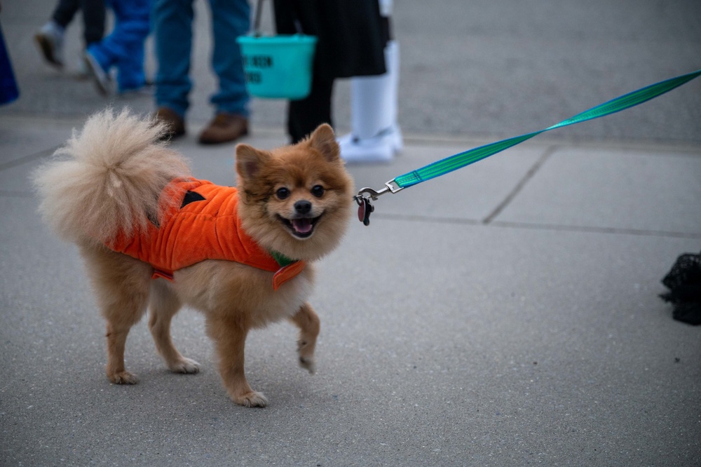 Dover Air Force Base families trick or treat