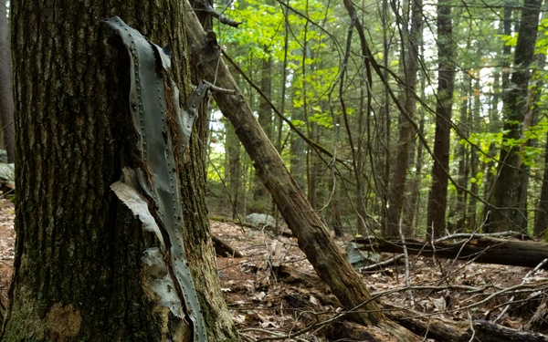 New Boston: The history hidden within