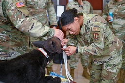 Critical Care Comes in Many Forms