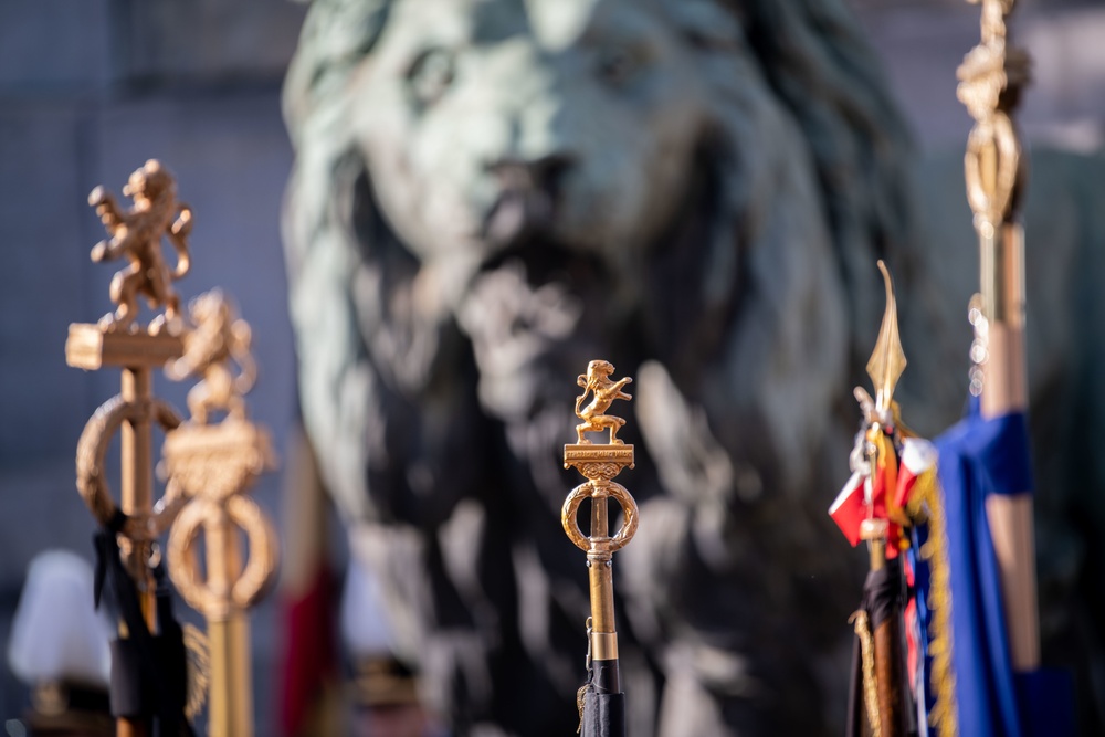 Belgium celebrates Armistice Day