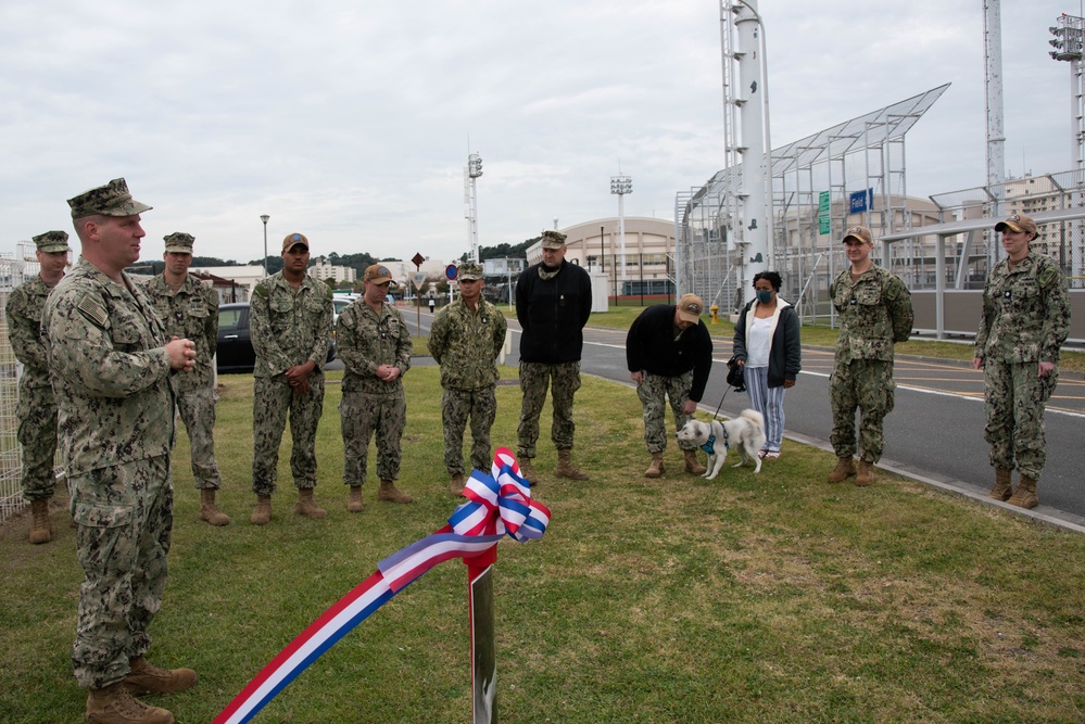 CFAY’s new dog park opens, Nov. 1, 2022