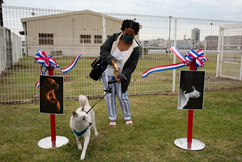 CFAY’s new dog park opens, Nov. 1, 2022