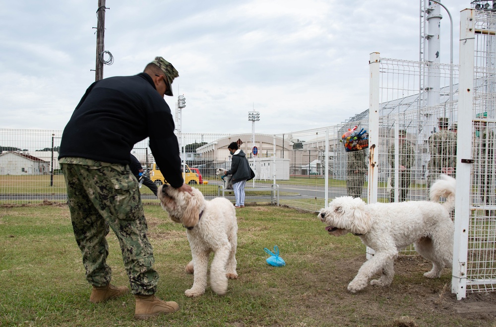 CFAY’s new dog park opens, Nov. 1, 2022