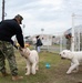 CFAY’s new dog park opens, Nov. 1, 2022