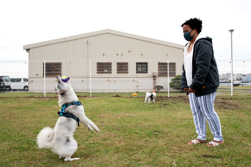 CFAY’s new dog park opens, Nov. 1, 2022