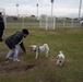 CFAY’s new dog park opens, Nov. 1, 2022