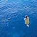 USS Tripoli Swim Call