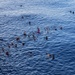 USS Tripoli Swim Call