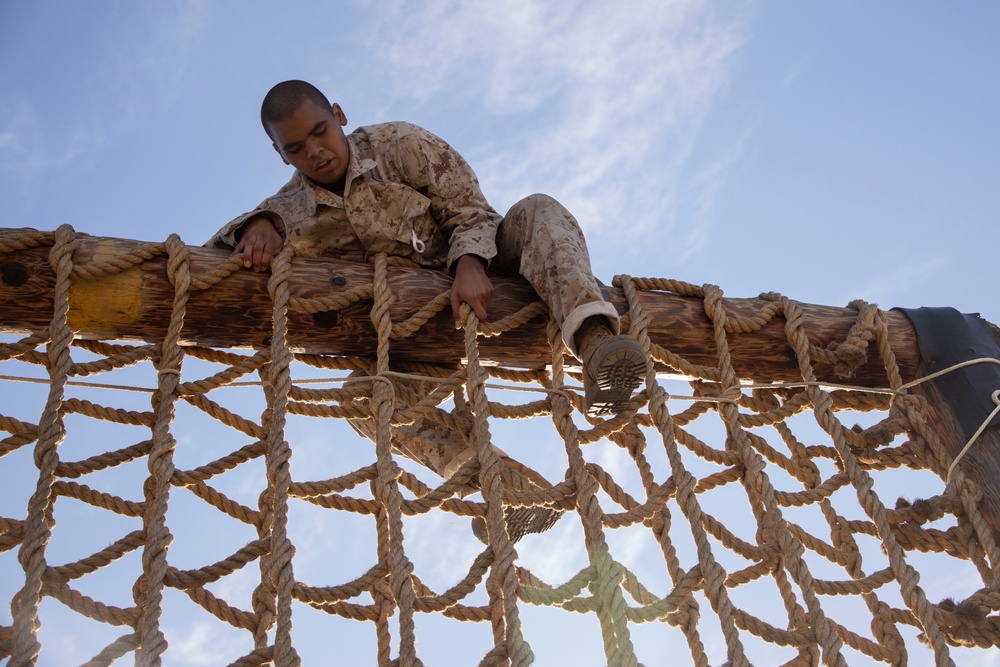 Fox Company Confidence Course