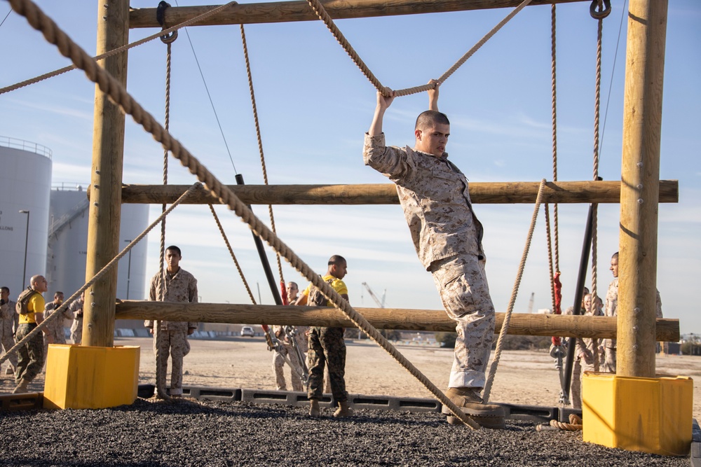 Fox Company Confidence Course