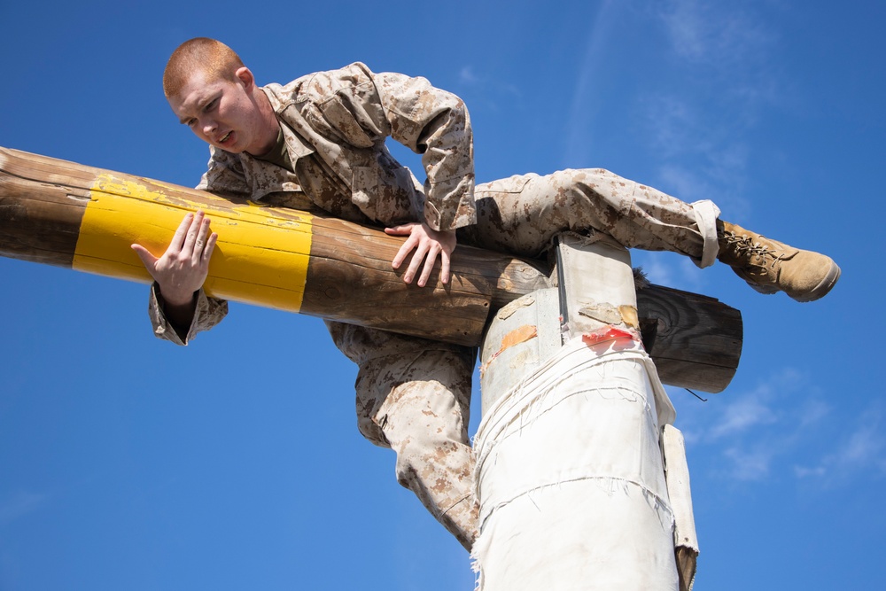 Fox Company Confidence Course