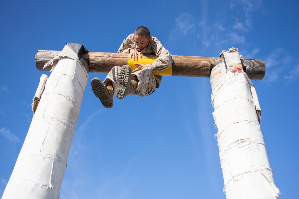 Fox Company Confidence Course