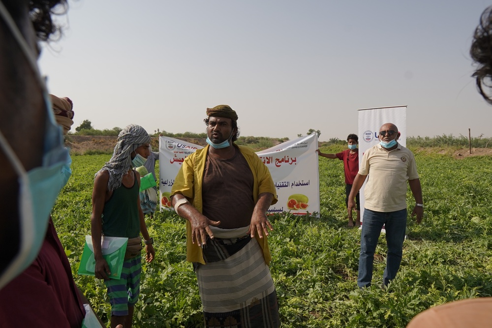 Yemeni farmers learn about drip irrigation and other agricultural best practices in Lahj