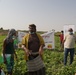 Yemeni farmers learn about drip irrigation and other agricultural best practices in Lahj