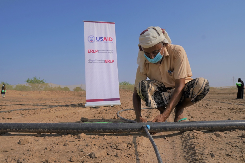 Yemeni farmers learn about drip irrigation and other agricultural best practices in Lahj