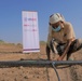 Yemeni farmers learn about drip irrigation and other agricultural best practices in Lahj