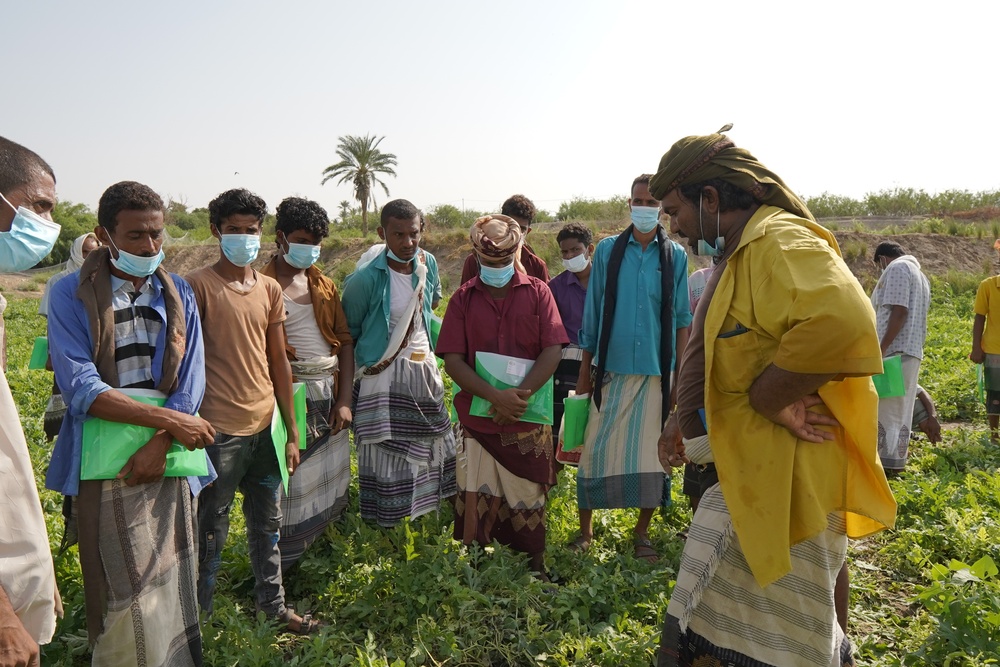 Yemeni farmers learn about drip irrigation and other agricultural best practices in Lahj