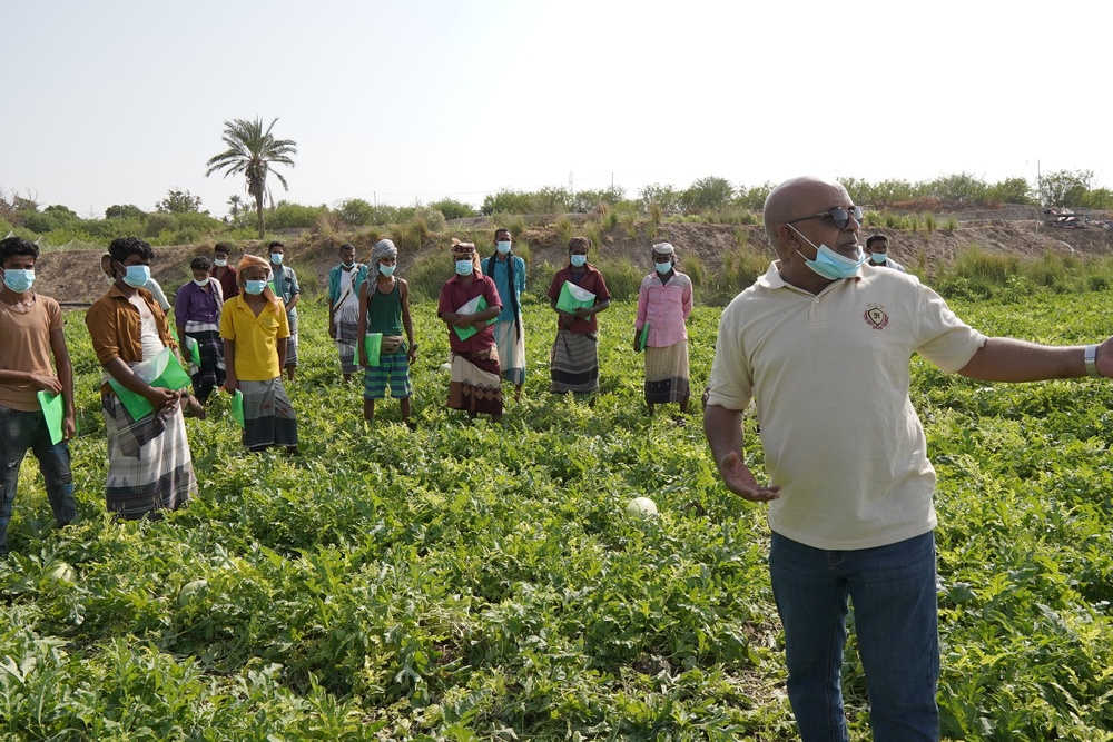 Yemeni farmers learn about drip irrigation and other agricultural best practices in Lahj